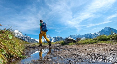 Hiker