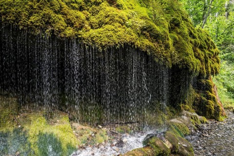 Moss covered rocks at the waterfall