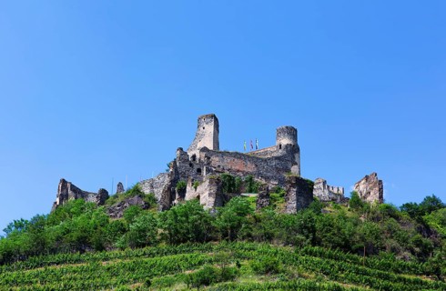 Wine-growing region