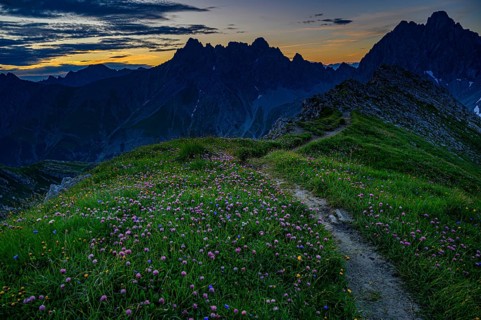 Mountain path with flower meadow at sunrise in mountain landscape