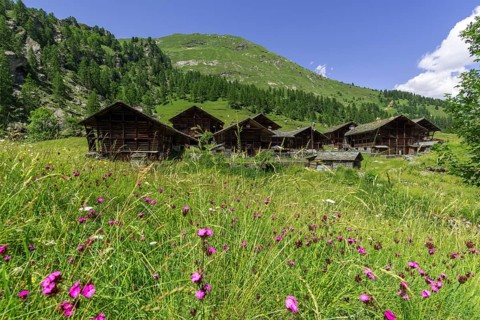 Typical Walser farmhouses in the village of Otro
