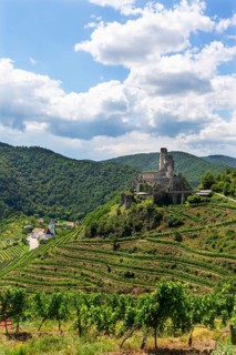 Wine-growing region