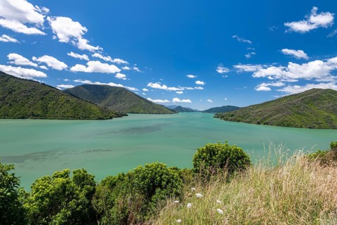 View from Cullen Point Lookout to Mahua Sound