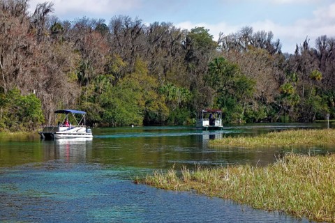 River landscape