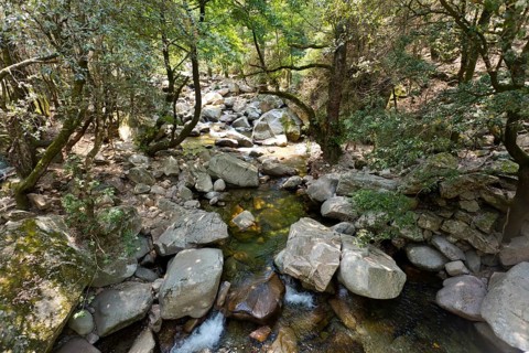 Brook in the Spelunca Gorge
