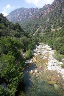 Mountain stream in the Spelunca Gorge