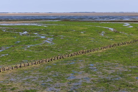 Wadden Sea at low tide on Amrum Island