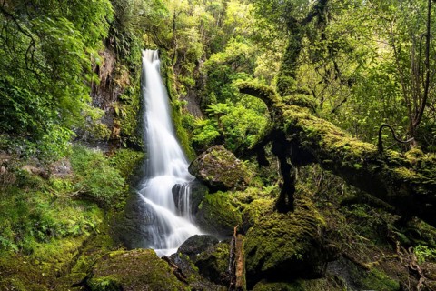 Upper Waipohatu Waterfall
