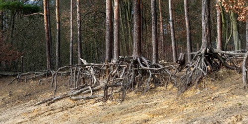 Erosion