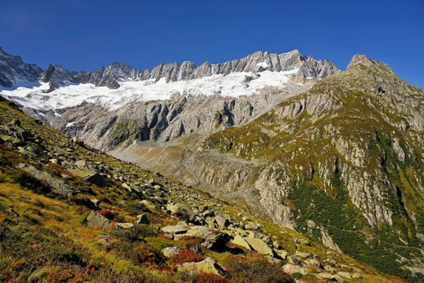 Damma Glacier