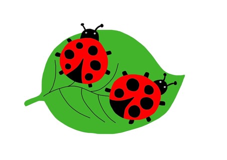 Naive illustration