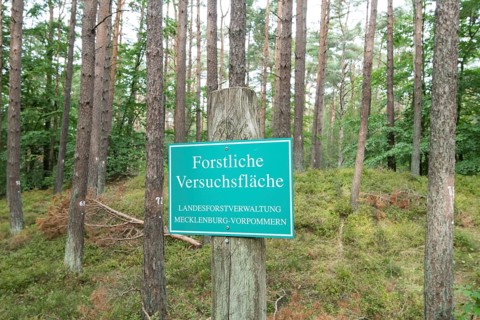 Sign Forest experimental area