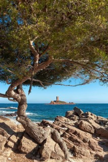Island of Ile d'Or at Cap Dramont
