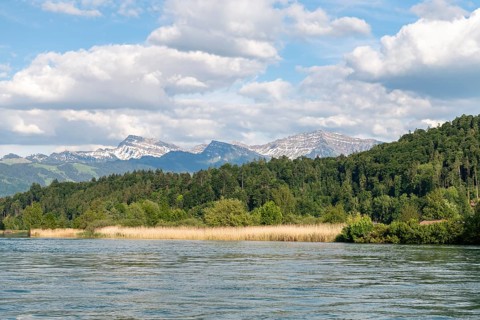 Lake Zurich with mountain panorama