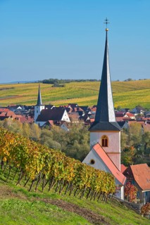 Escherndorf near Volkach