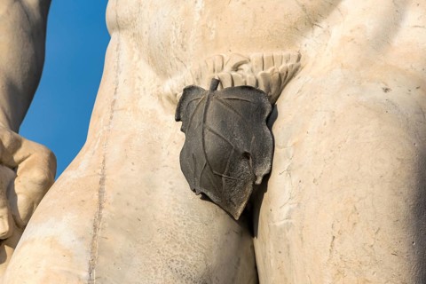 Close-up of fig leaf covering athlete statue at Stadio dei Marmi