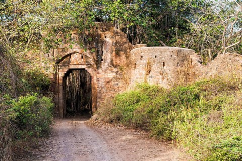 Ranthambhore fort