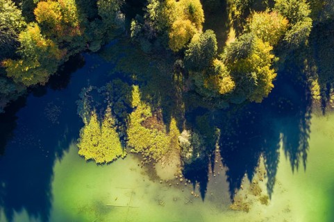 Natural lakeshore at the Freibergsee from above