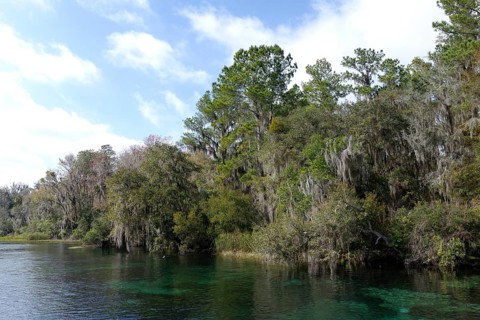 River landscape