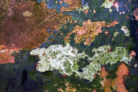 Flaked off colourful paint on an old car door