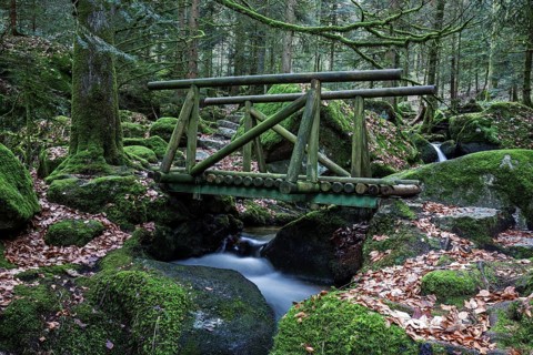 Wooden bridge over Gertelbach