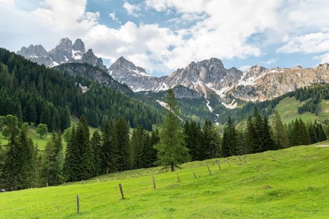Alpine meadow in front of the summits of the Bischofsmuetze