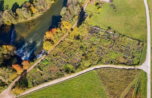 Allotment garden