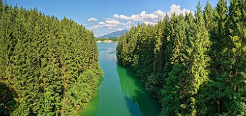 Inflow Bernmoosbach into Lake Forggensee