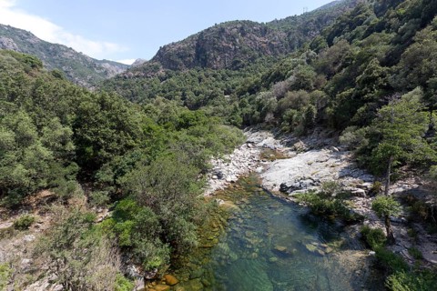 Mountain stream in the Spelunca Gorge