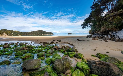 Moss-covered stones on the beach of Stillwell Bay