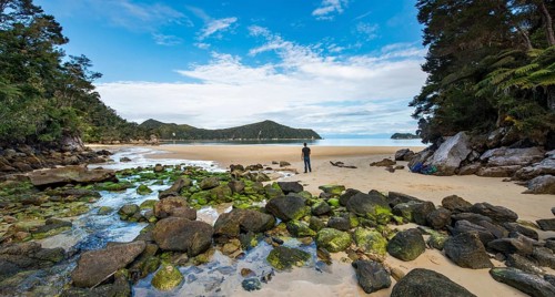Young man standing on beach with moss-covered rocks
