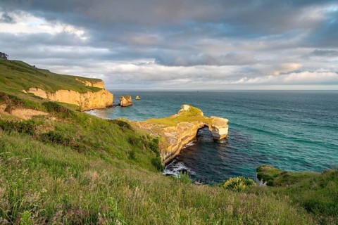 Rocky cliffs at Tunnel Beach