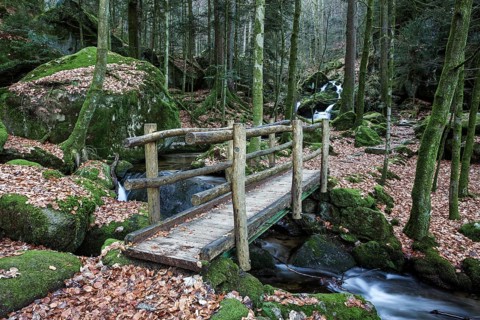 Wooden bridge over Gertelbach