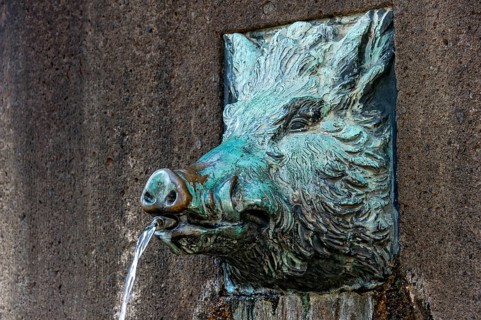 Drinking water fountain