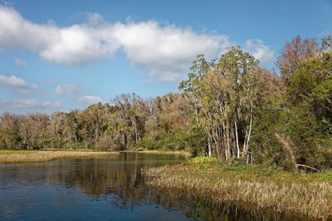River landscape