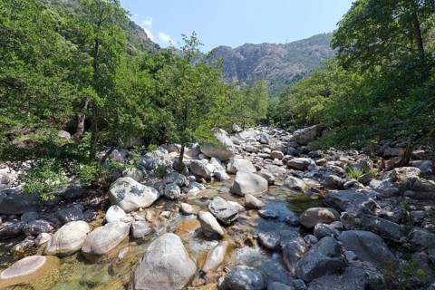 Mountain stream near the Spelunca gorge