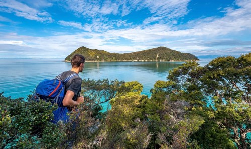 Walker overlooks Bay Astrolabe Roadstead with Adele Island