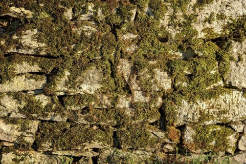 Dry masonry