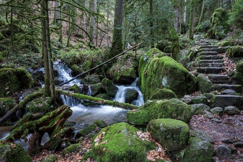 Gertelbach