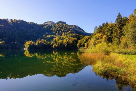 Lake Freiberg