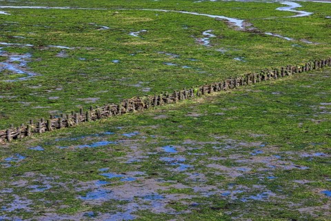 Wadden Sea at low tide on Amrum Island