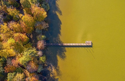 Autumn atmosphere at Lake Starnberg near St. Heinrich