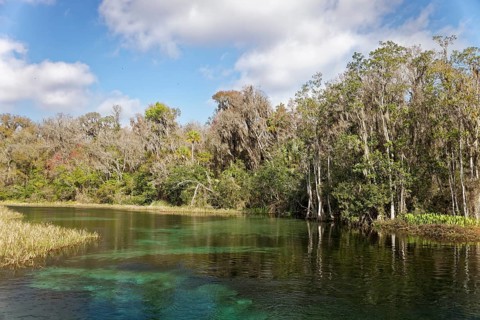 River landscape
