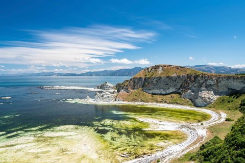 Kaikoura Peninsula