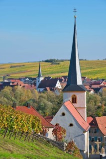 Escherndorf near Volkach