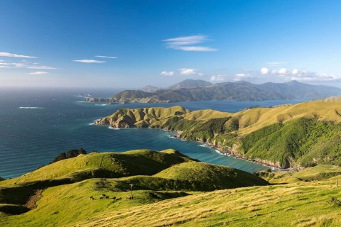 View of meadows and rocky coast at French Pass