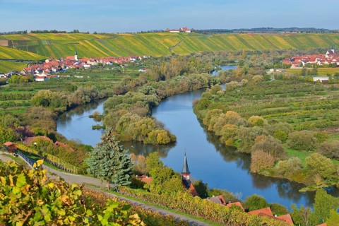 Main loop in autumn