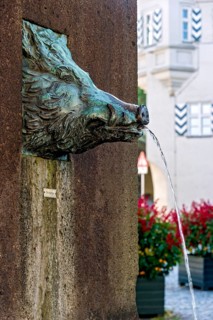 Drinking water fountain