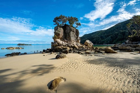 Overgrown rock on the beach of Stillwell Bay