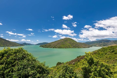 View from Cullen Point Lookout to Mahua Sound